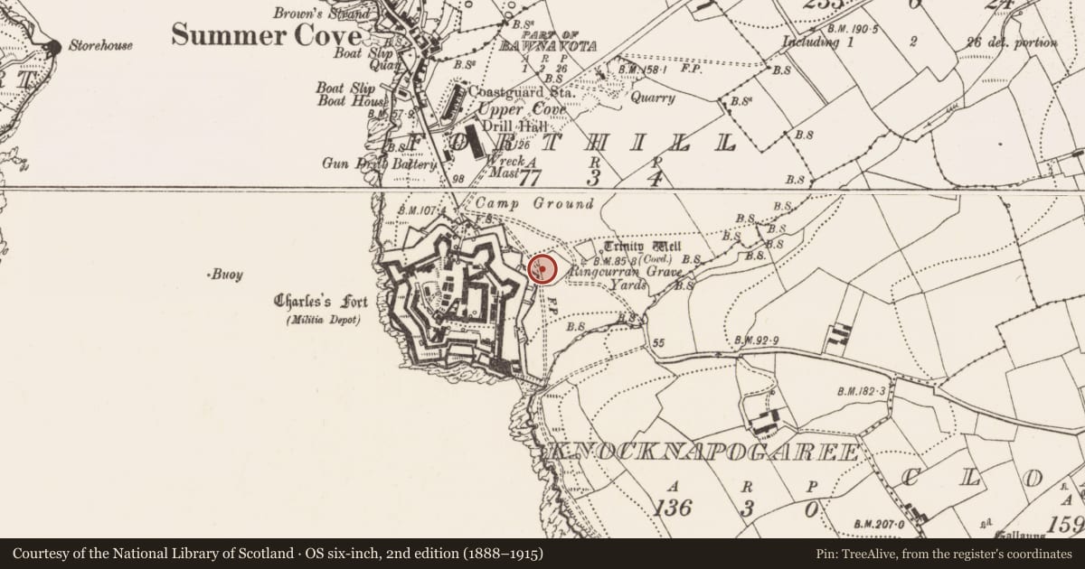 Ordnance Survey six-inch map, 2nd edition (1888–1915) covering the location of Burial ground, Forthill, County Cork, with a pin at the register's coordinates
