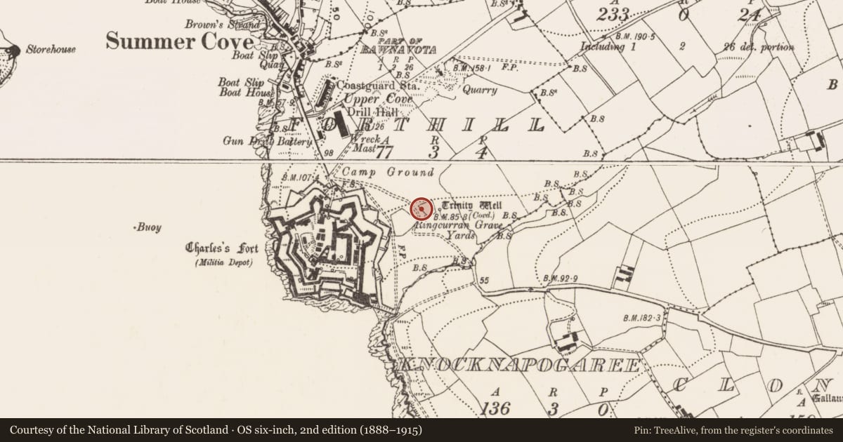 Ordnance Survey six-inch map, 2nd edition (1888–1915) covering the location of Burial ground, Forthill, County Cork, with a pin at the register's coordinates
