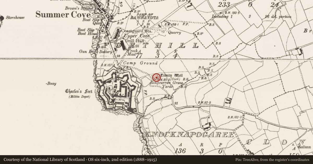Ordnance Survey six-inch map, 2nd edition (1888–1915) covering the location of Ritual site - holy well, Forthill, County Cork, with a pin at the register's coordinates