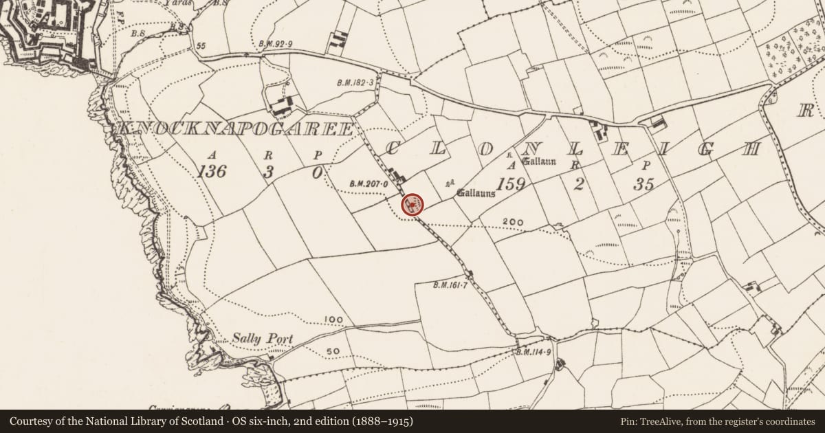 Ordnance Survey six-inch map, 2nd edition (1888–1915) covering the location of Ringfort - rath, Clonleigh, County Cork, with a pin at the register's coordinates