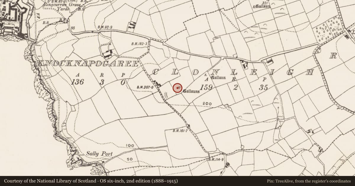Ordnance Survey six-inch map, 2nd edition (1888–1915) covering the location of Boulder-burial, Clonleigh, County Cork, with a pin at the register's coordinates