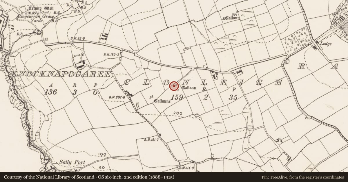 Ordnance Survey six-inch map, 2nd edition (1888–1915) covering the location of Standing stone, Clonleigh, County Cork, with a pin at the register's coordinates