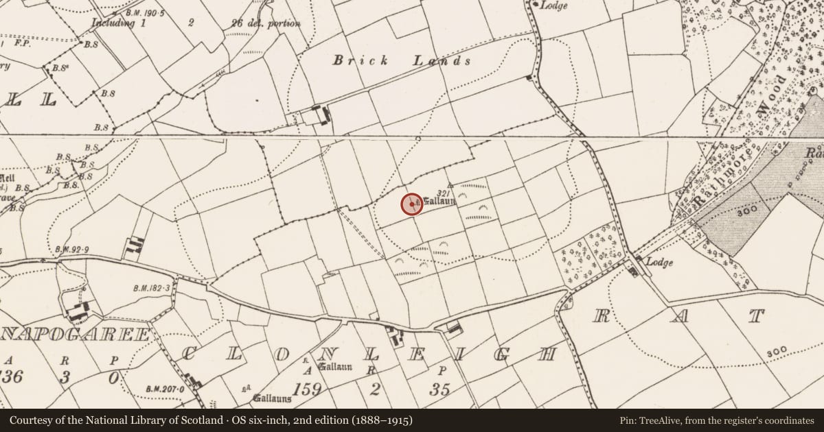 Ordnance Survey six-inch map, 2nd edition (1888–1915) covering the location of Standing stone, Clonleigh, County Cork, with a pin at the register's coordinates