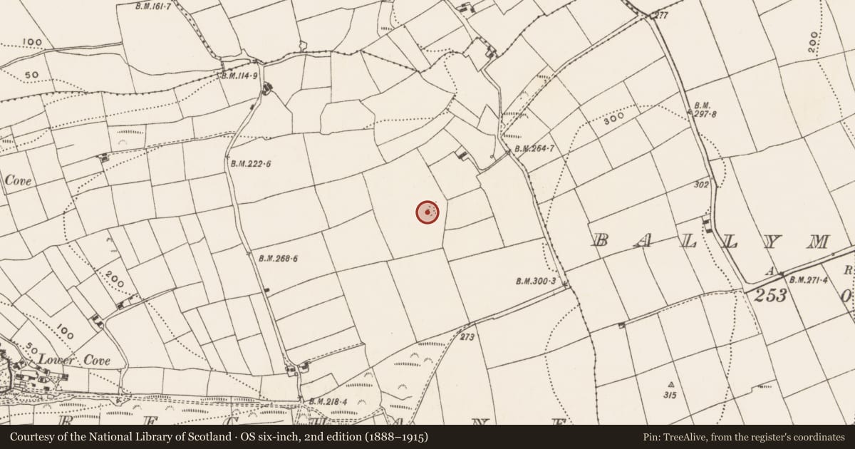 Ordnance Survey six-inch map, 2nd edition (1888–1915) covering the location of Ringfort - rath, Preghane, County Cork, with a pin at the register's coordinates