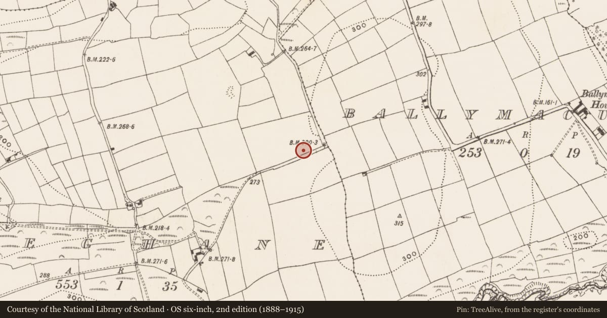 Ordnance Survey six-inch map, 2nd edition (1888–1915) covering the location of Fulacht fia, Preghane, County Cork, with a pin at the register's coordinates