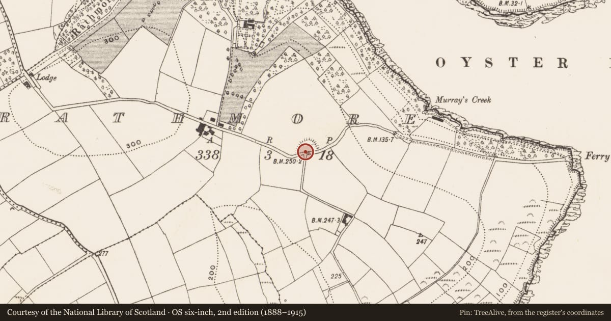 Ordnance Survey six-inch map, 2nd edition (1888–1915) covering the location of Ringfort - rath, Rathmore, County Cork, with a pin at the register's coordinates