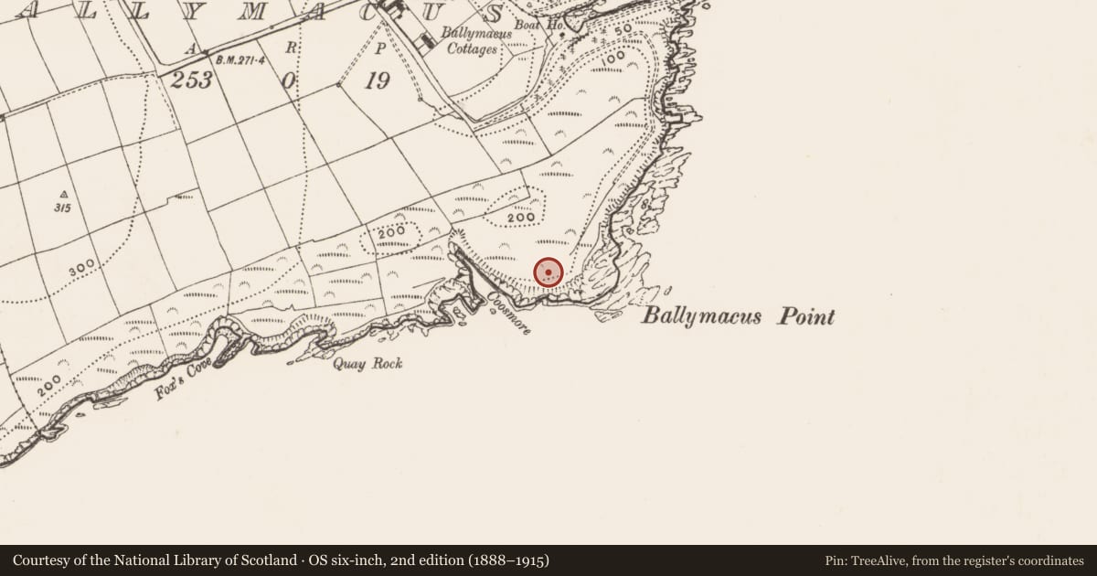 Ordnance Survey six-inch map, 2nd edition (1888–1915) covering the location of Megalithic tomb - unclassified, Ballymacus, County Cork, with a pin at the register's coordinates