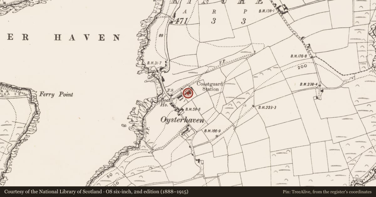 Ordnance Survey six-inch map, 2nd edition (1888–1915) covering the location of Building, Kinure, County Cork, with a pin at the register's coordinates