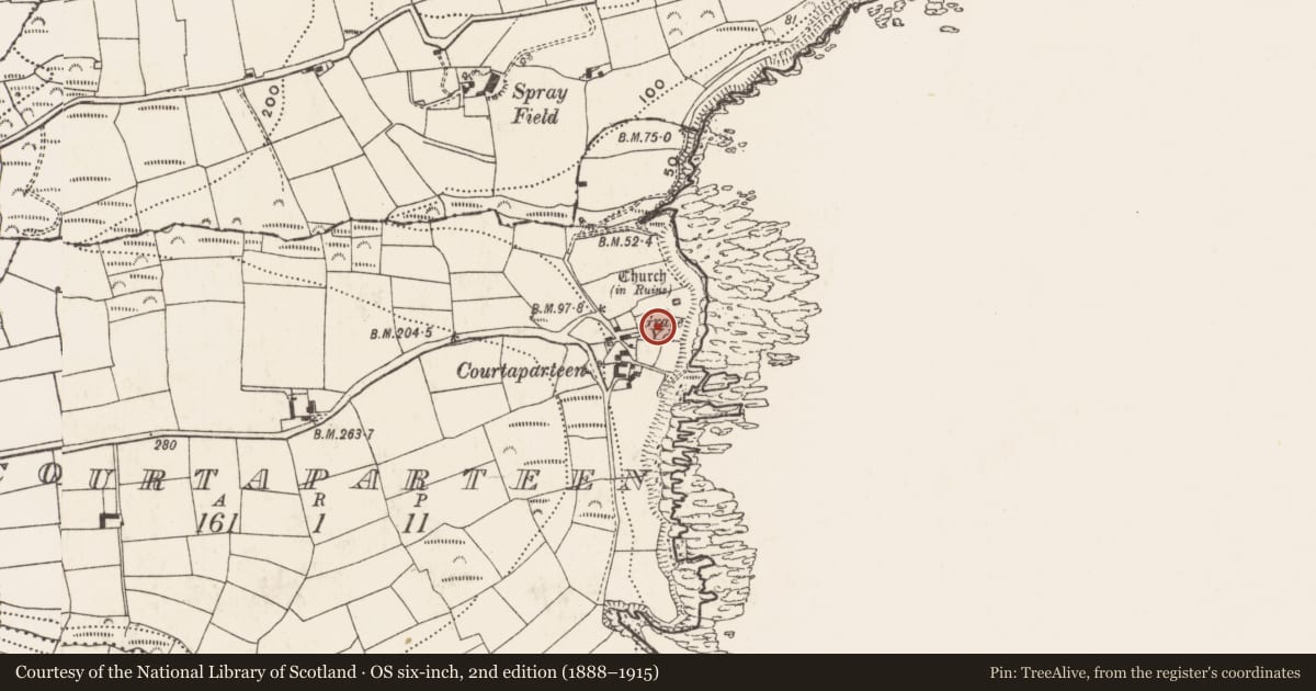 Ordnance Survey six-inch map, 2nd edition (1888–1915) covering the location of Graveyard, Courtaparteen, County Cork, with a pin at the register's coordinates