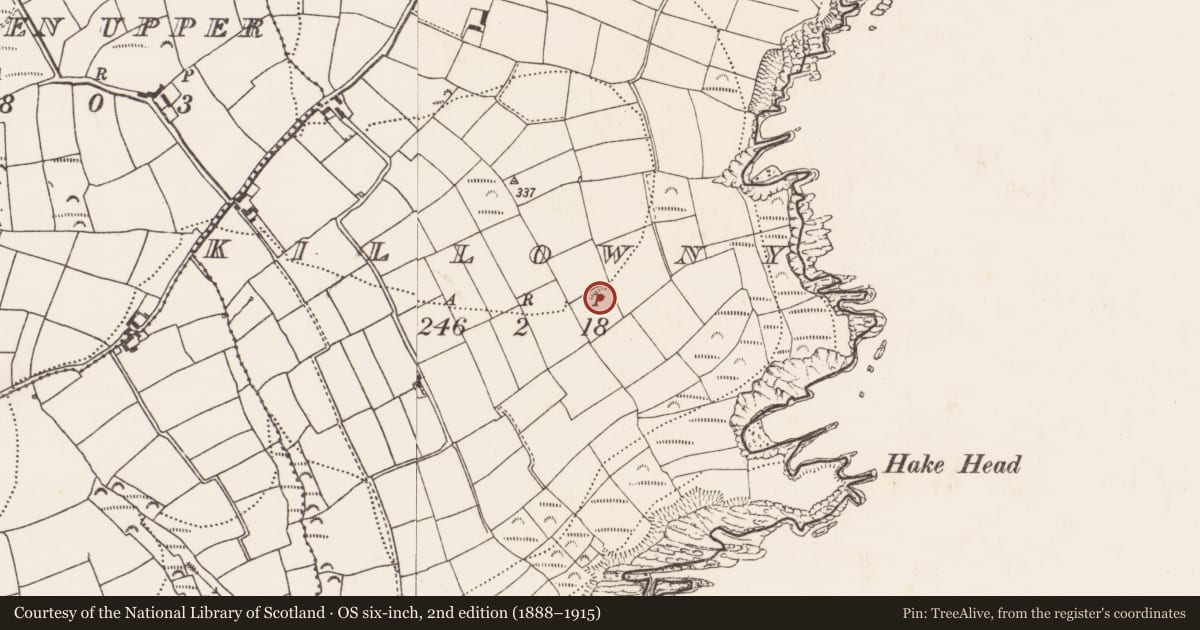 Ordnance Survey six-inch map, 2nd edition (1888–1915) covering the location of Ringfort - rath, Killowny, County Cork, with a pin at the register's coordinates