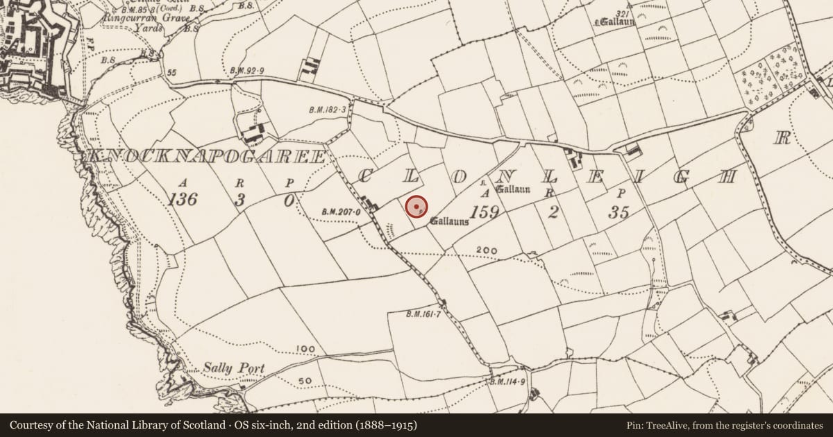 Ordnance Survey six-inch map, 2nd edition (1888–1915) covering the location of Standing stone, Clonleigh, County Cork, with a pin at the register's coordinates