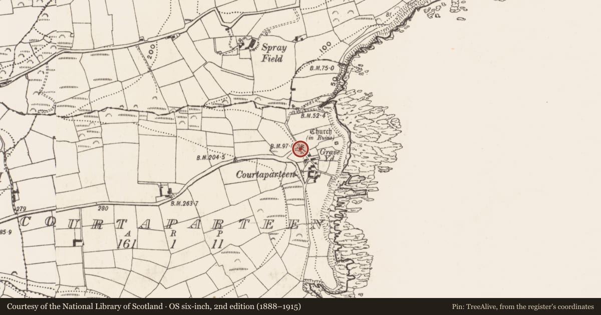 Ordnance Survey six-inch map, 2nd edition (1888–1915) covering the location of Ritual site - holy well, Courtaparteen, County Cork, with a pin at the register's coordinates