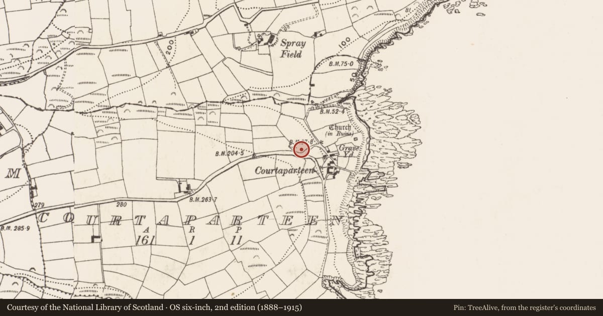 Ordnance Survey six-inch map, 2nd edition (1888–1915) covering the location of Ritual site - holy well, Courtaparteen, County Cork, with a pin at the register's coordinates