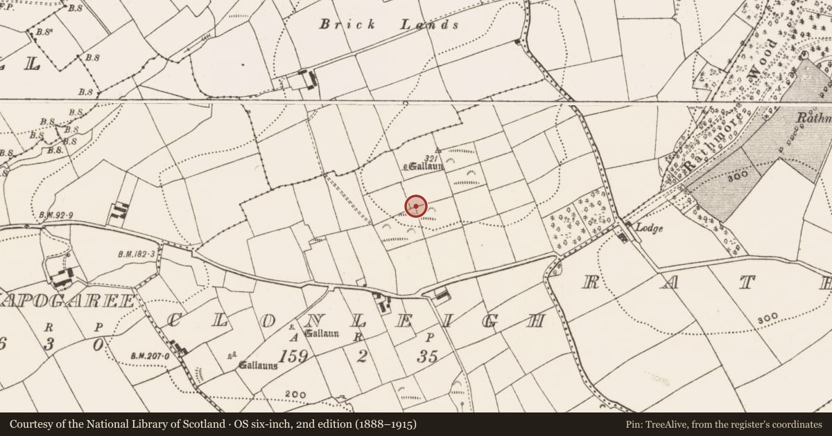 Ordnance Survey six-inch map, 2nd edition (1888–1915) covering the location of Standing stone (present location), Clonleigh, County Cork, with a pin at the register's coordinates
