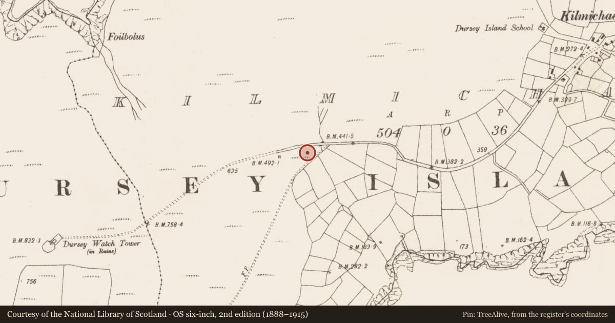 Ordnance Survey six-inch map, 2nd edition (1888–1915) covering the location of Standing stone, Kilmichael (Dursey Island), County Cork, with a pin at the register's coordinates