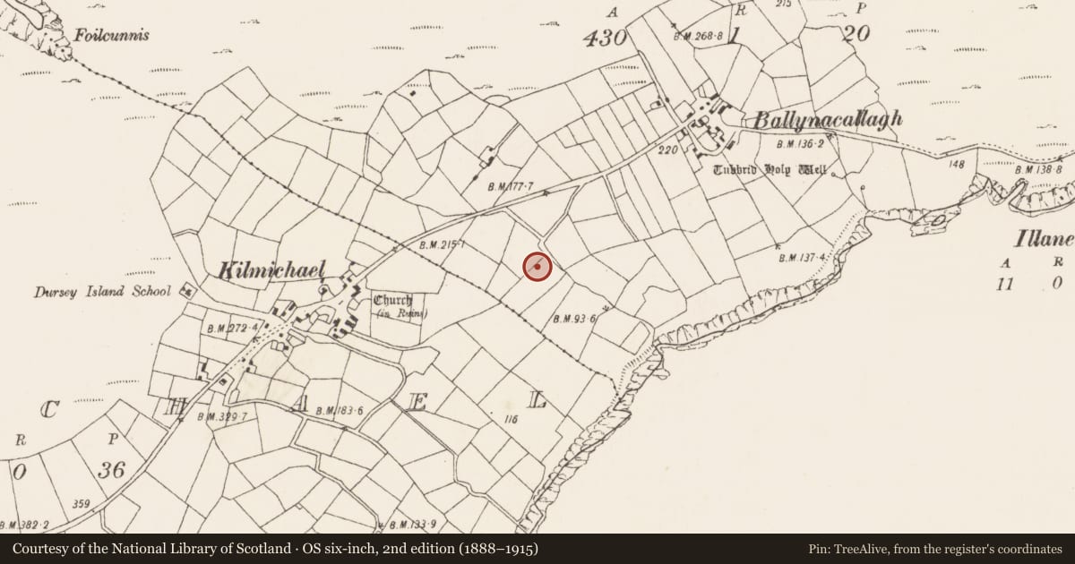 Ordnance Survey six-inch map, 2nd edition (1888–1915) covering the location of Cupmarked stone, Ballynacallagh, County Cork, with a pin at the register's coordinates