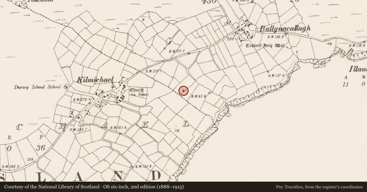 Ordnance Survey six-inch map, 2nd edition (1888–1915) covering the location of Standing stone, Ballynacallagh, County Cork, with a pin at the register's coordinates