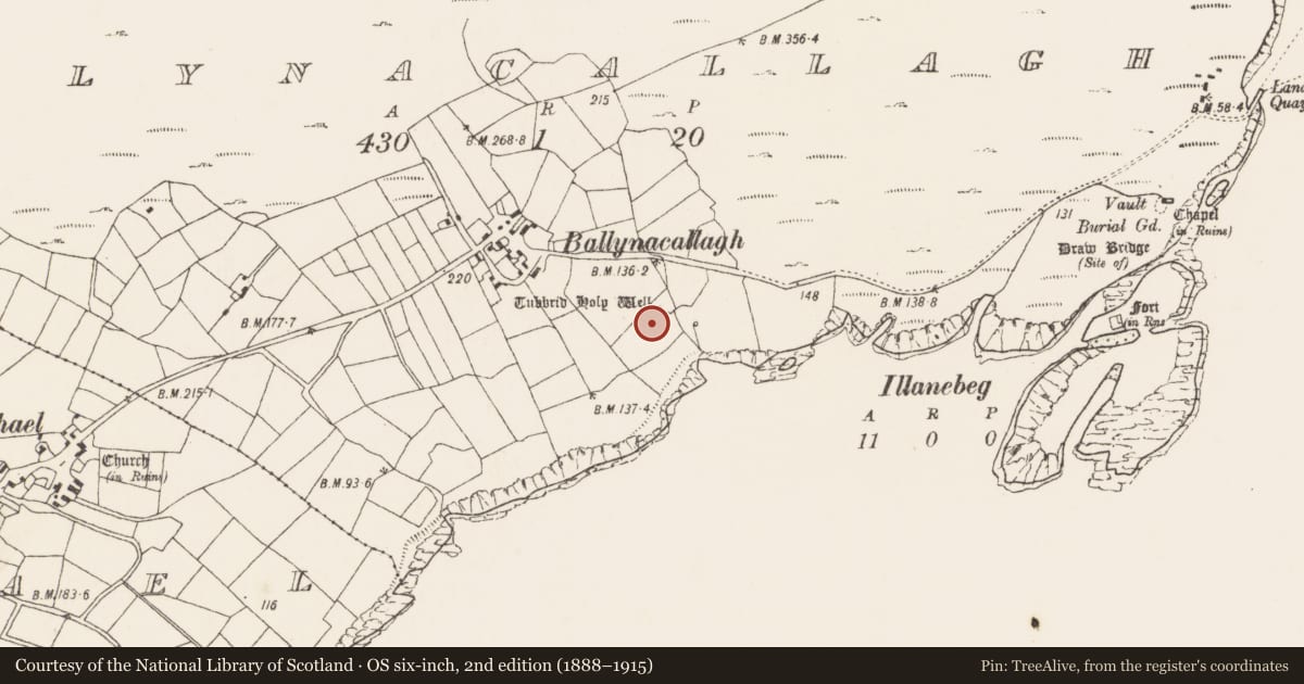 Ordnance Survey six-inch map, 2nd edition (1888–1915) covering the location of Cupmarked stone, Ballynacallagh, County Cork, with a pin at the register's coordinates
