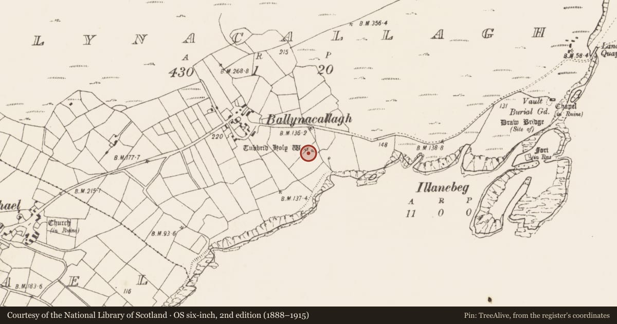 Ordnance Survey six-inch map, 2nd edition (1888–1915) covering the location of Ritual site - holy well, Ballynacallagh, County Cork, with a pin at the register's coordinates