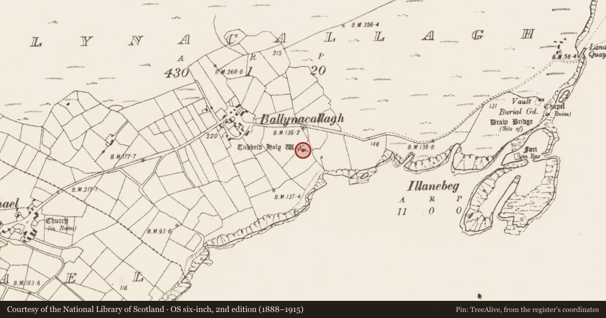 Ordnance Survey six-inch map, 2nd edition (1888–1915) covering the location of Cupmarked stone, Ballynacallagh, County Cork, with a pin at the register's coordinates