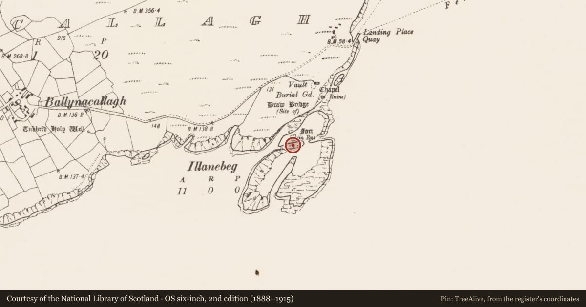 Ordnance Survey six-inch map, 2nd edition (1888–1915) covering the location of Castle - unclassified, Ballynacallagh, County Cork, with a pin at the register's coordinates