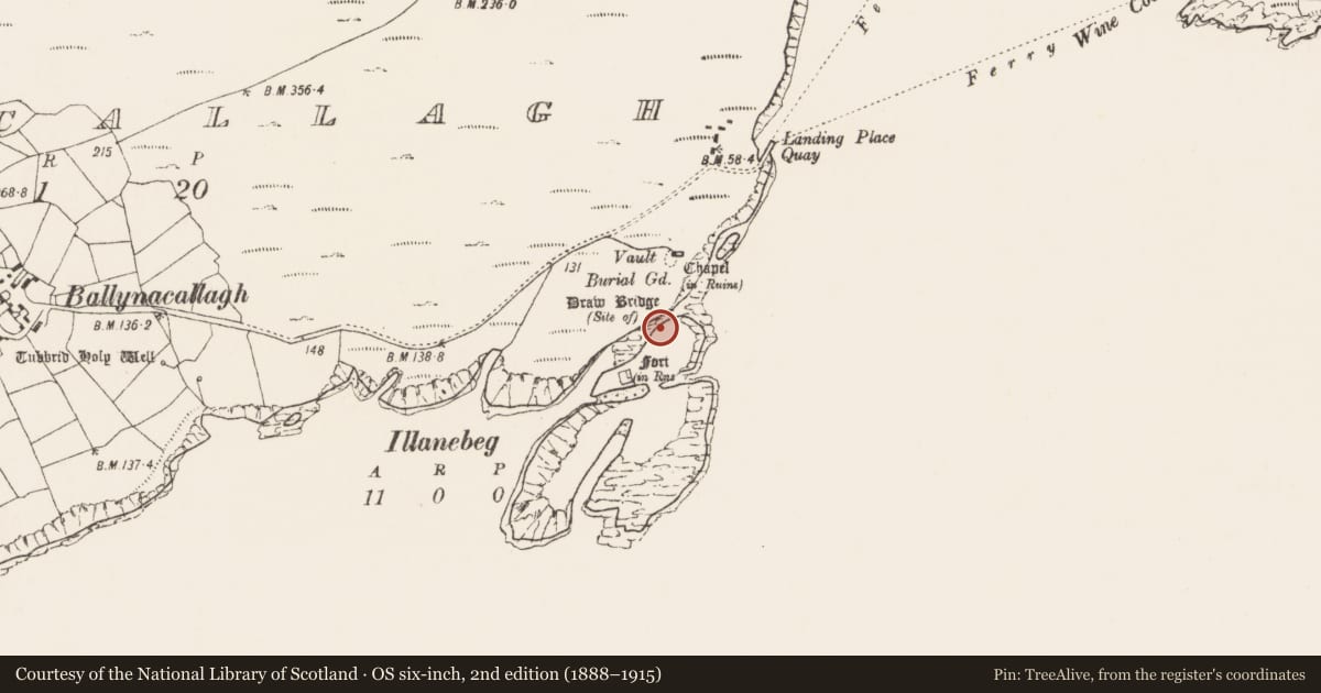 Ordnance Survey six-inch map, 2nd edition (1888–1915) covering the location of Bridge, Ballynacallagh, County Cork, with a pin at the register's coordinates