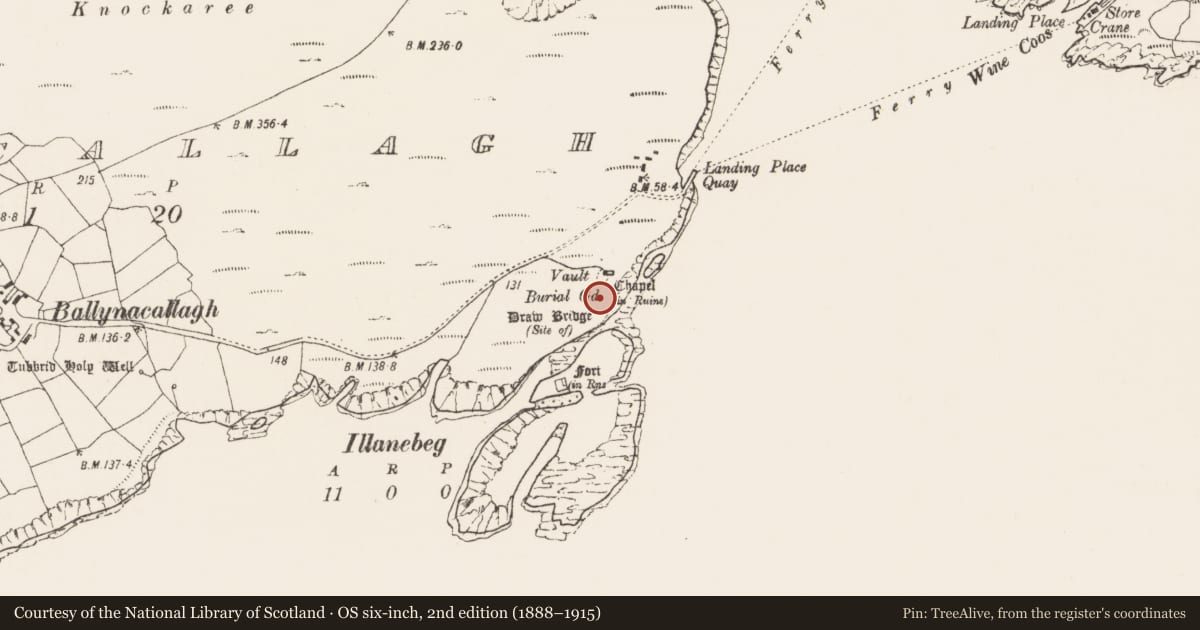 Ordnance Survey six-inch map, 2nd edition (1888–1915) covering the location of Graveyard, Ballynacallagh, County Cork, with a pin at the register's coordinates