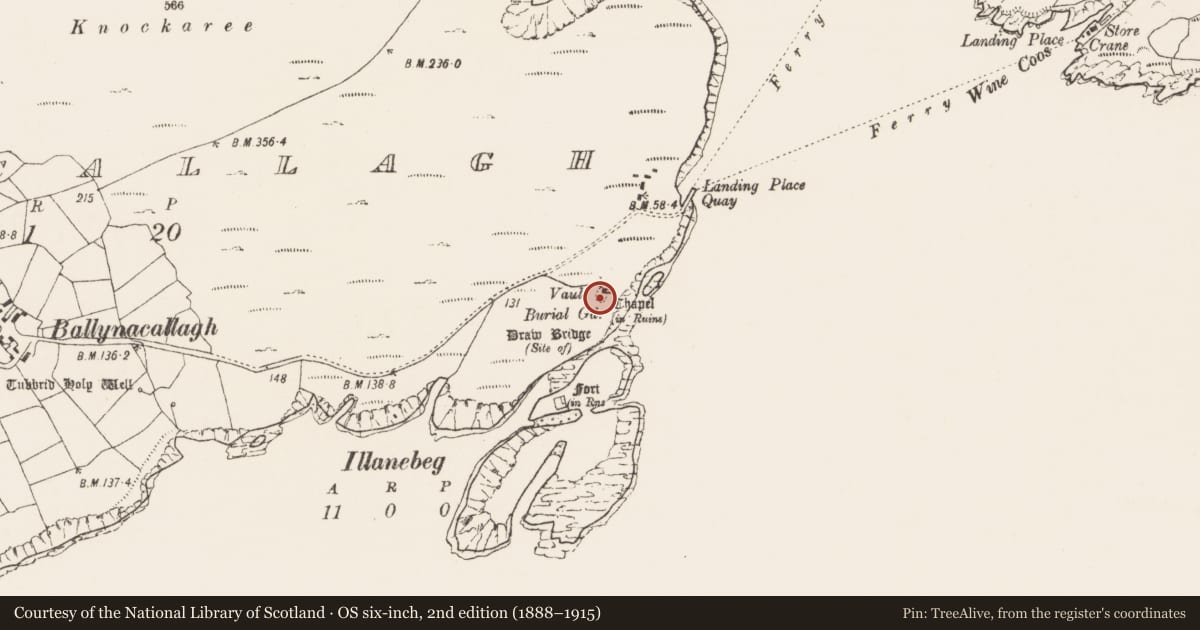 Ordnance Survey six-inch map, 2nd edition (1888–1915) covering the location of Tomb - unclassified, Ballynacallagh, County Cork, with a pin at the register's coordinates