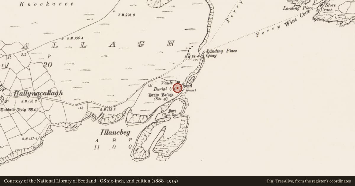 Ordnance Survey six-inch map, 2nd edition (1888–1915) covering the location of Church, Ballynacallagh, County Cork, with a pin at the register's coordinates