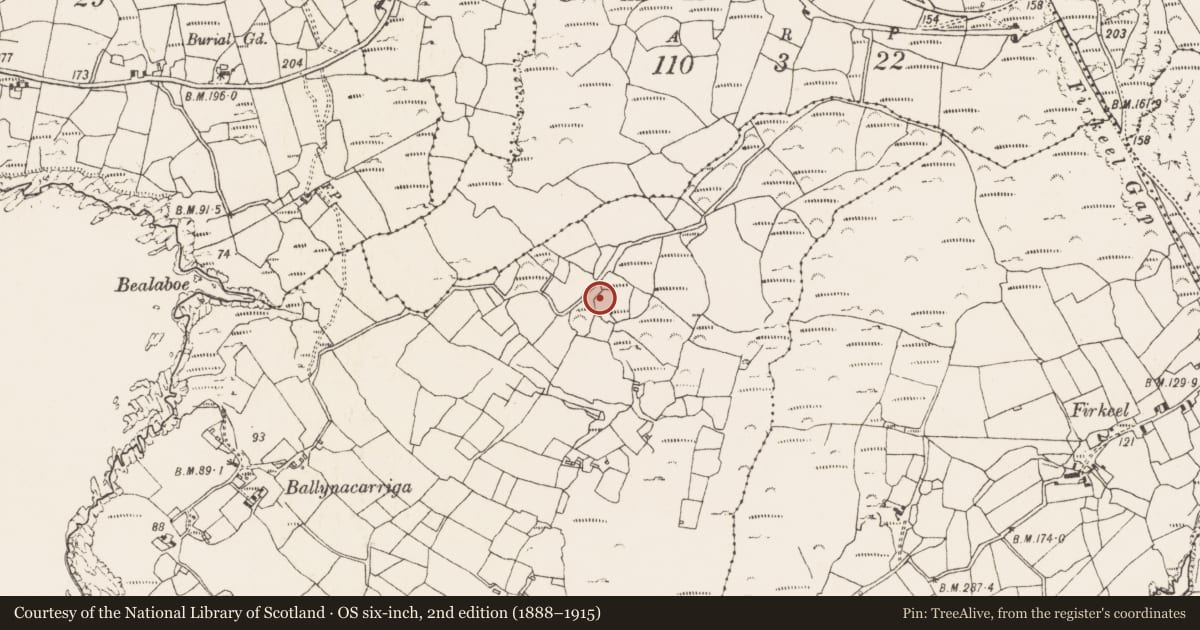Ordnance Survey six-inch map, 2nd edition (1888–1915) covering the location of Hut site, Ballynacarriga, County Cork, with a pin at the register's coordinates