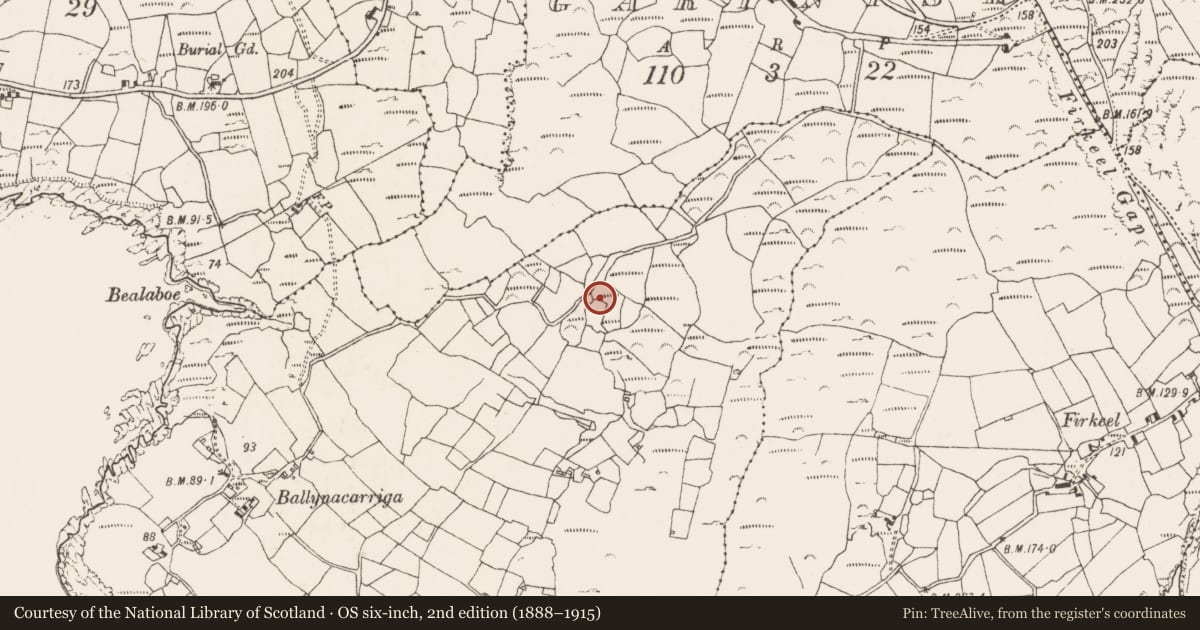 Ordnance Survey six-inch map, 2nd edition (1888–1915) covering the location of Boulder-burial, Ballynacarriga, County Cork, with a pin at the register's coordinates