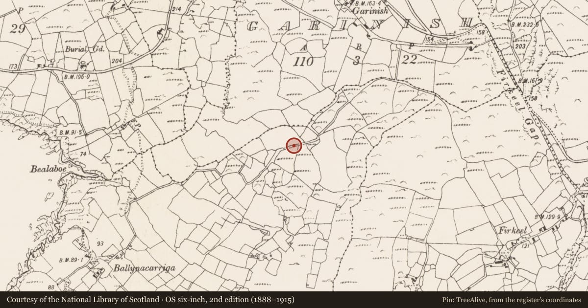 Ordnance Survey six-inch map, 2nd edition (1888–1915) covering the location of Boulder-burial, Ballynacarriga, County Cork, with a pin at the register's coordinates
