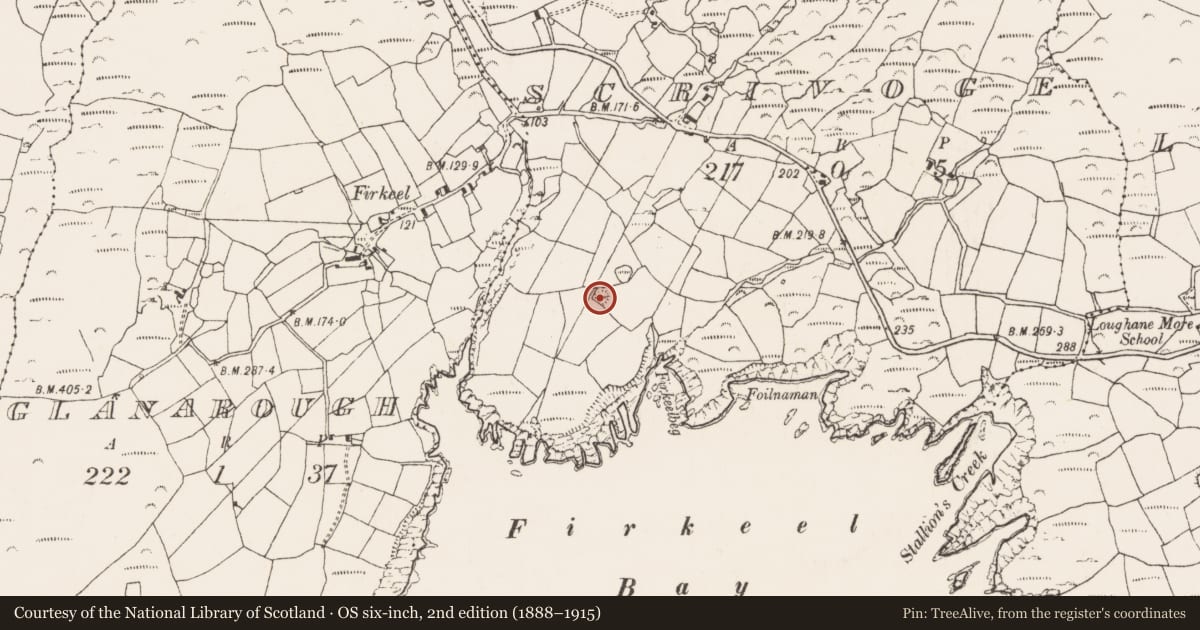 Ordnance Survey six-inch map, 2nd edition (1888–1915) covering the location of Ringfort - rath, Scrivoge, County Cork, with a pin at the register's coordinates
