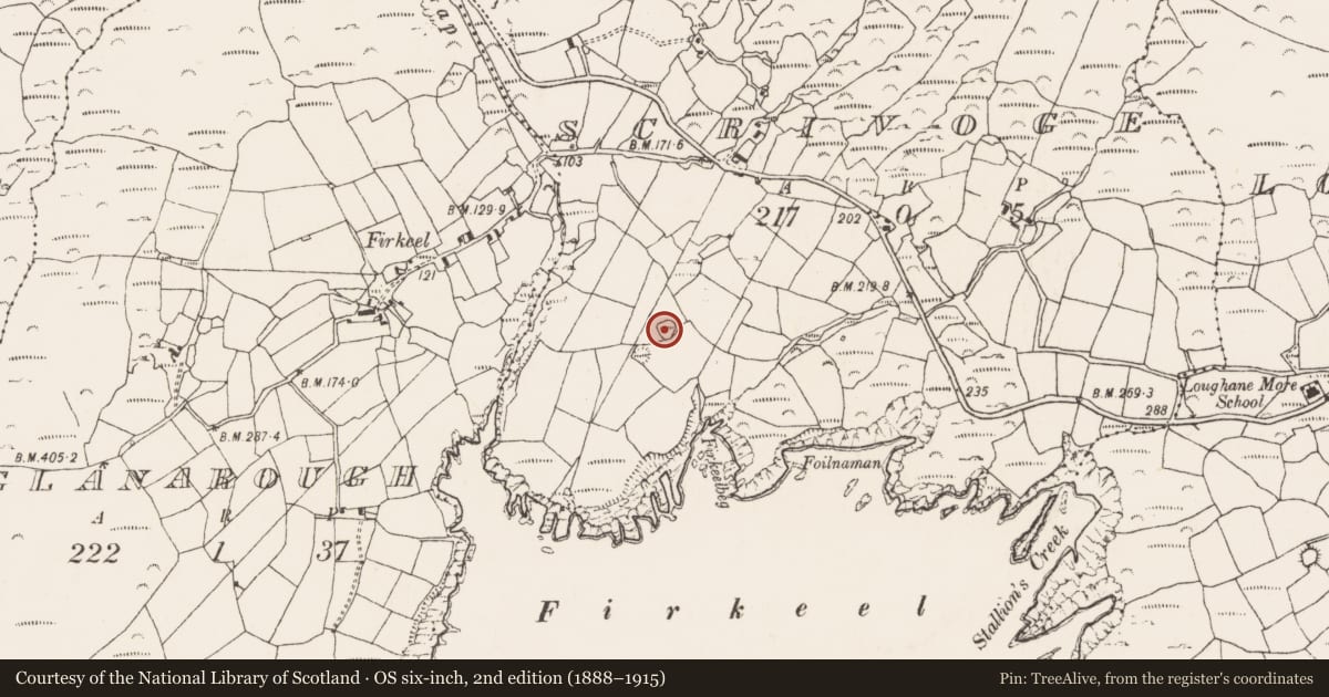 Ordnance Survey six-inch map, 2nd edition (1888–1915) covering the location of Enclosure, Scrivoge, County Cork, with a pin at the register's coordinates