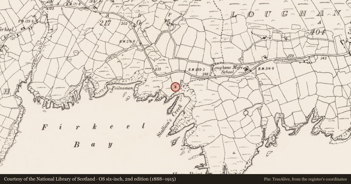 Ordnance Survey six-inch map, 2nd edition (1888–1915) covering the location of Enclosure, Scrivoge, County Cork, with a pin at the register's coordinates