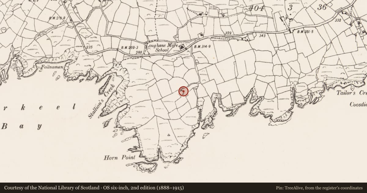 Ordnance Survey six-inch map, 2nd edition (1888–1915) covering the location of Souterrain, Loughane More, County Cork, with a pin at the register's coordinates