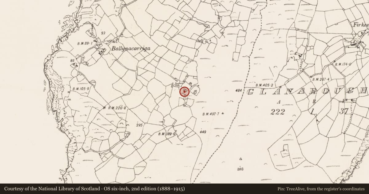 Ordnance Survey six-inch map, 2nd edition (1888–1915) covering the location of Settlement cluster, Ballynacarriga, County Cork, with a pin at the register's coordinates
