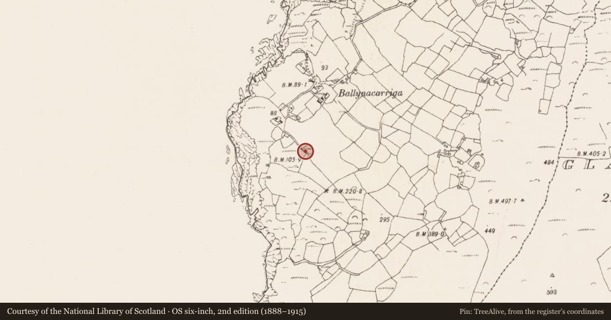Ordnance Survey six-inch map, 2nd edition (1888–1915) covering the location of Enclosure, Ballynacarriga, County Cork, with a pin at the register's coordinates