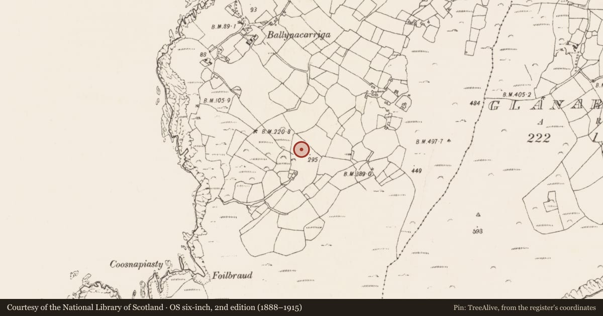 Ordnance Survey six-inch map, 2nd edition (1888–1915) covering the location of Burial ground, Ballynacarriga, County Cork, with a pin at the register's coordinates
