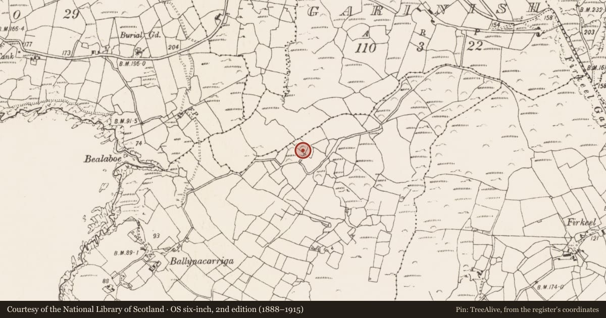 Ordnance Survey six-inch map, 2nd edition (1888–1915) covering the location of Ringfort - rath, Ballynacarriga, County Cork, with a pin at the register's coordinates
