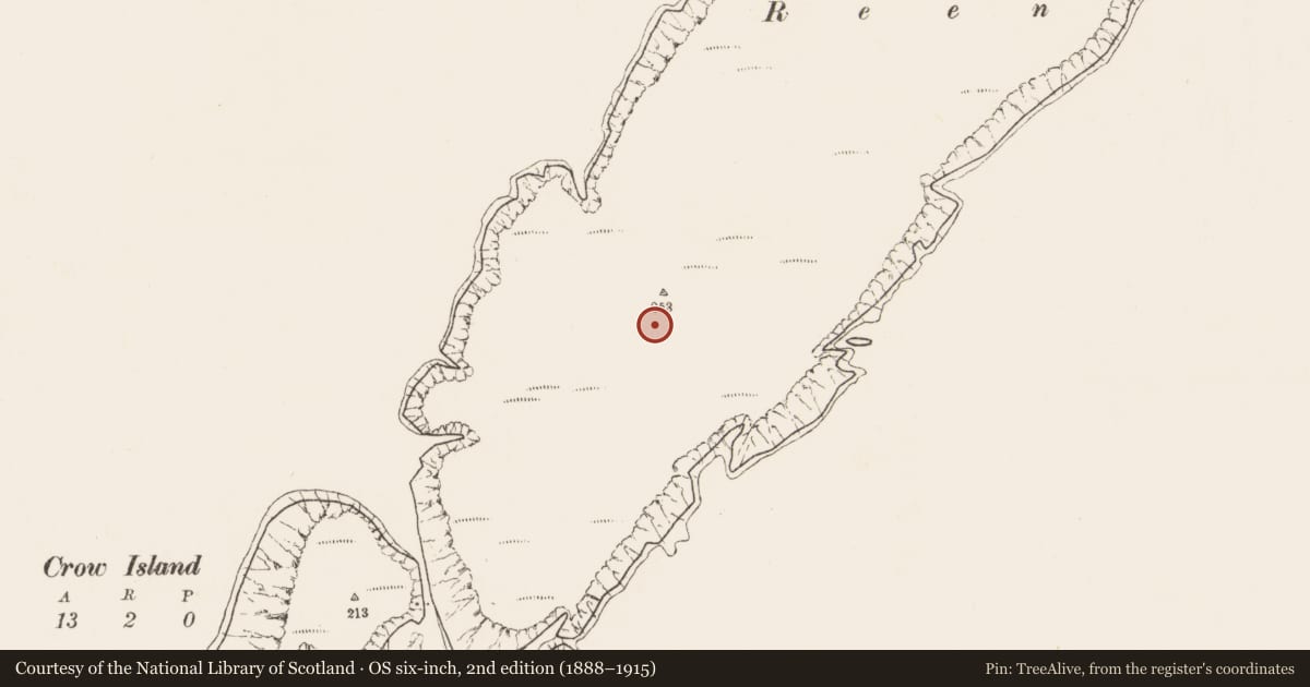 Ordnance Survey six-inch map, 2nd edition (1888–1915) covering the location of Hut site, Ballynacarriga, County Cork, with a pin at the register's coordinates