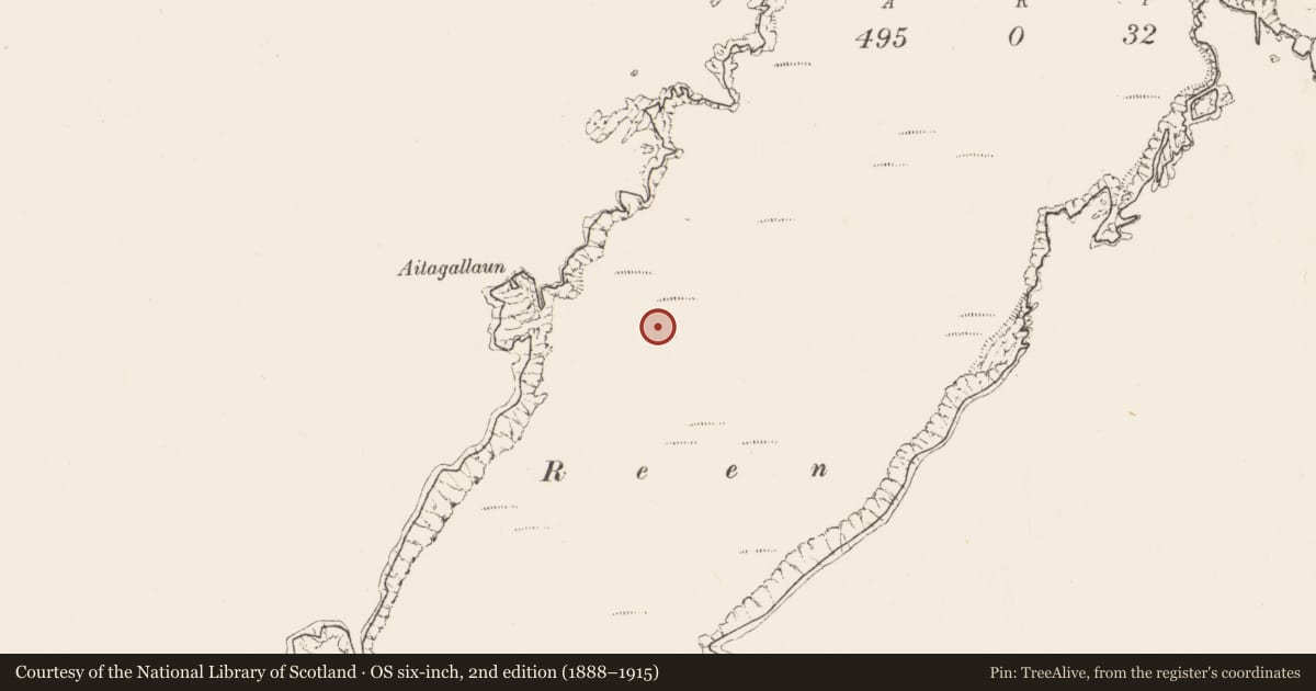 Ordnance Survey six-inch map, 2nd edition (1888–1915) covering the location of Anomalous stone group, Ballynacarriga, County Cork, with a pin at the register's coordinates