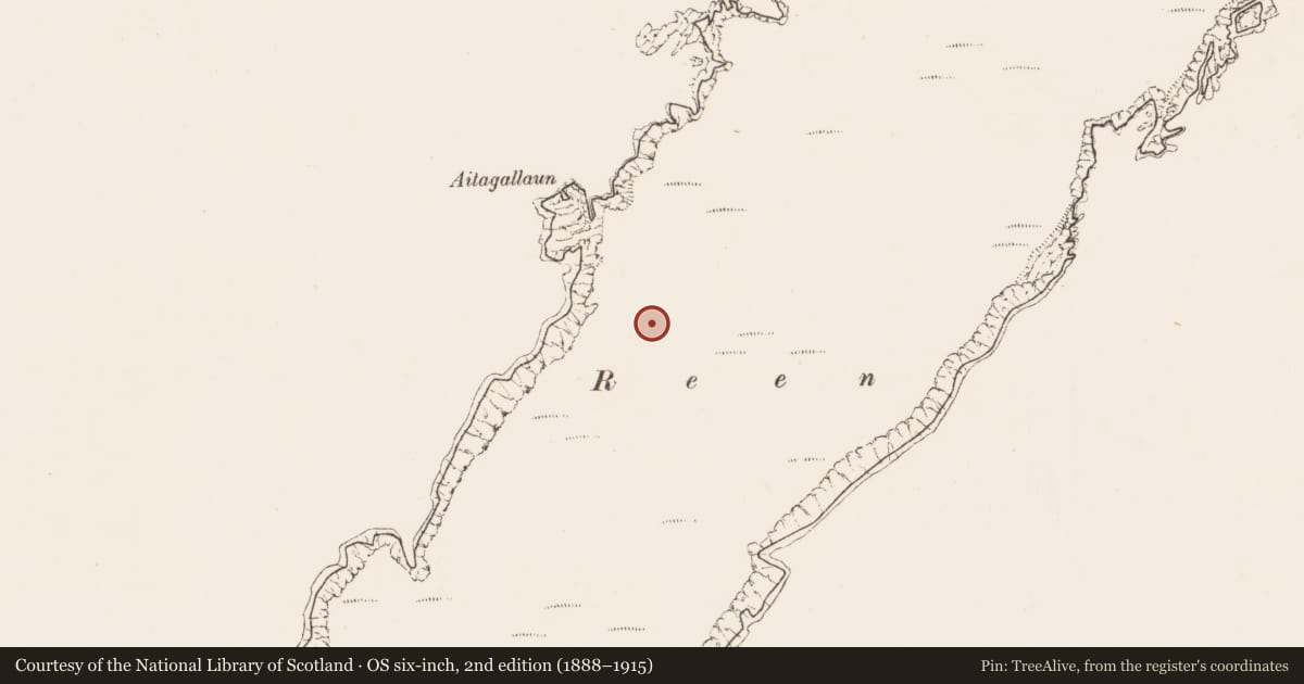 Ordnance Survey six-inch map, 2nd edition (1888–1915) covering the location of Hut site, Ballynacarriga, County Cork, with a pin at the register's coordinates