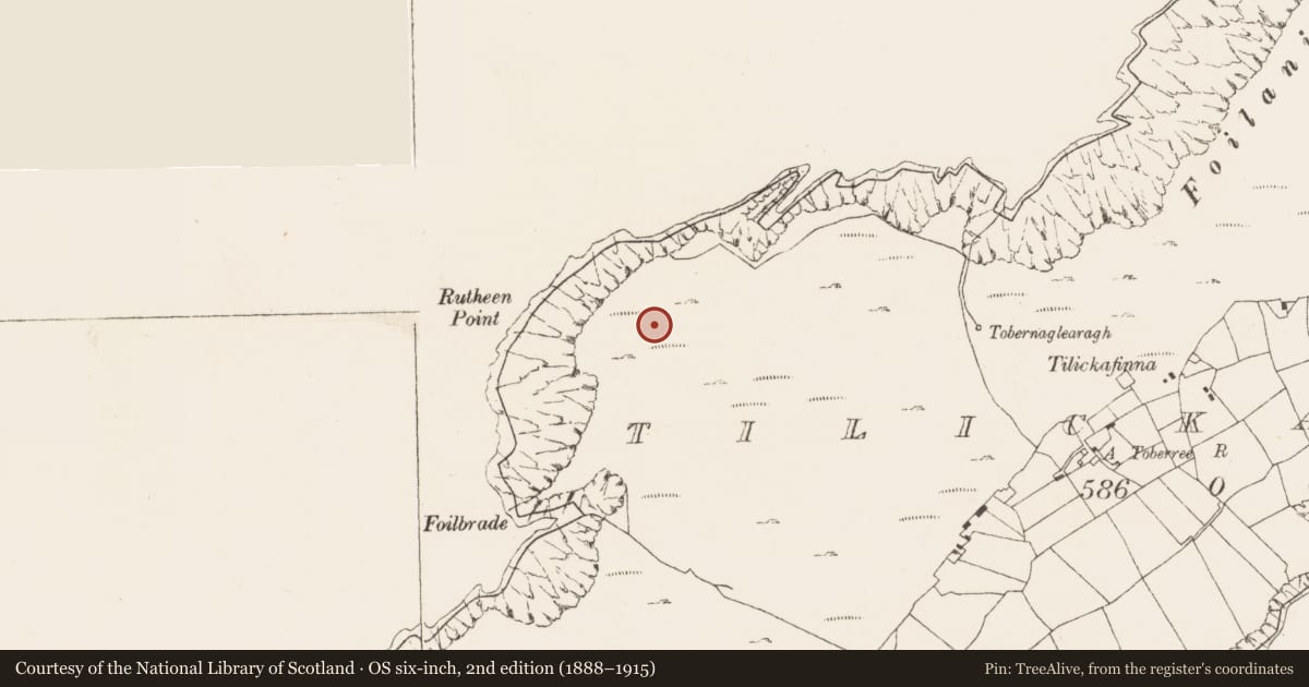 Ordnance Survey six-inch map, 2nd edition (1888–1915) covering the location of Enclosure, Tilickafinna (Dursey Island), County Cork, with a pin at the register's coordinates
