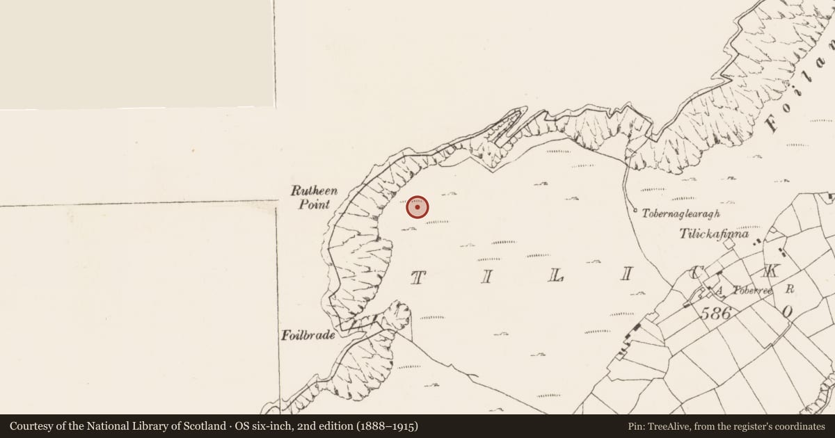 Ordnance Survey six-inch map, 2nd edition (1888–1915) covering the location of Hut site, Tilickafinna (Dursey Island), County Cork, with a pin at the register's coordinates