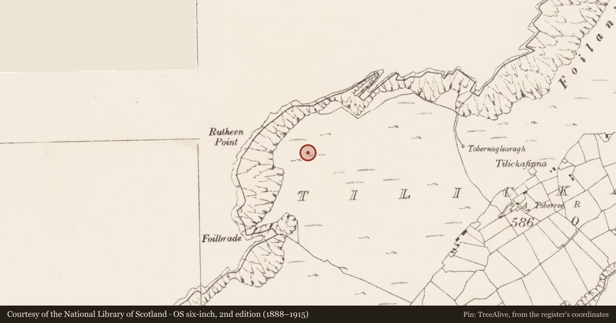 Ordnance Survey six-inch map, 2nd edition (1888–1915) covering the location of Field boundary, Tilickafinna (Dursey Island), County Cork, with a pin at the register's coordinates