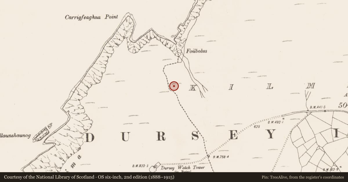 Ordnance Survey six-inch map, 2nd edition (1888–1915) covering the location of Enclosure, Kilmichael (Dursey Island), County Cork, with a pin at the register's coordinates