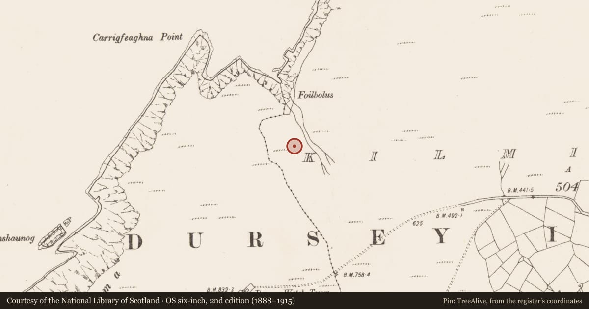 Ordnance Survey six-inch map, 2nd edition (1888–1915) covering the location of Fulacht fia, Kilmichael (Dursey Island), County Cork, with a pin at the register's coordinates