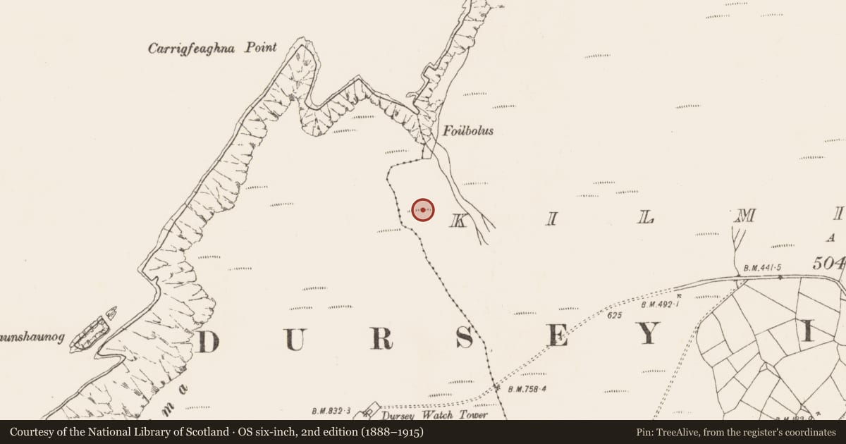 Ordnance Survey six-inch map, 2nd edition (1888–1915) covering the location of Field boundary, Kilmichael (Dursey Island), County Cork, with a pin at the register's coordinates