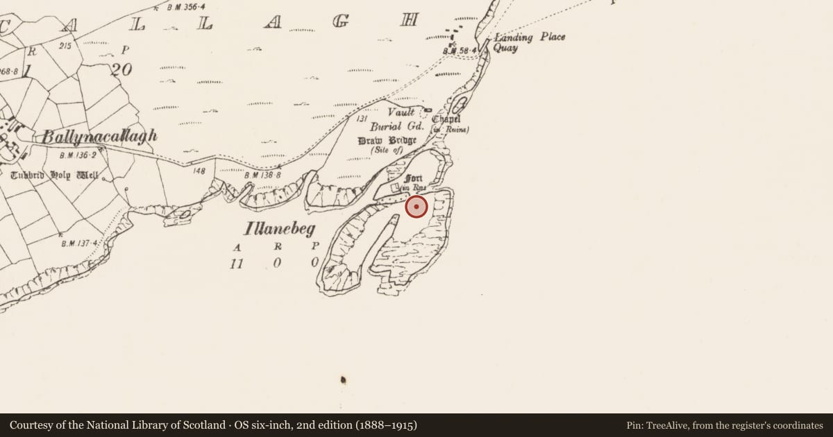 Ordnance Survey six-inch map, 2nd edition (1888–1915) covering the location of Hut site, Ballynacallagh, County Cork, with a pin at the register's coordinates